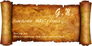 Gantner Máriusz névjegykártya